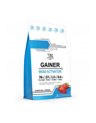 Bodyperson Labs Gainer Mass Activator (2 kg, strawberry)