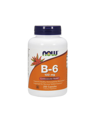 NOW B-6 100 mg (250 caps)
