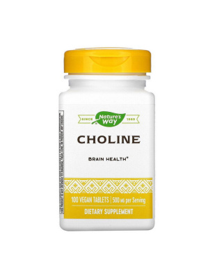 Nature's Way Choline 500 mg (100 veg caps)