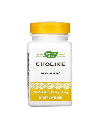 Nature's Way Choline 500 mg (100 veg caps)